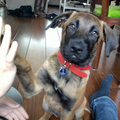 Kaya high five !!