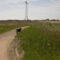 Wandelgebied Dorspad, Landsmeer (NH)