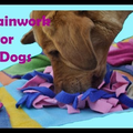 Brainworks for dogs