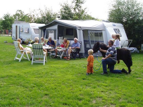 Aan de groene papegaai