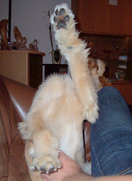 Hoezo een rare houding?