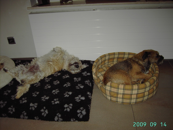 lekker relaxen na een speelpartij :-))