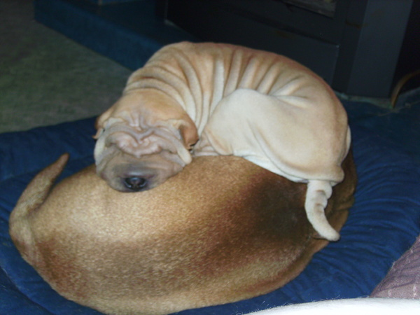 LEKKER BOVENOP MIJN  GROTE BROER