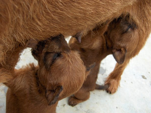 Dit is volop genieten...