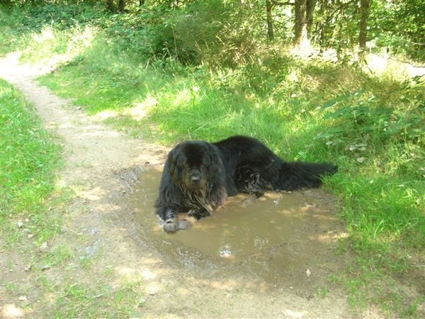 dit doe ik het liefst