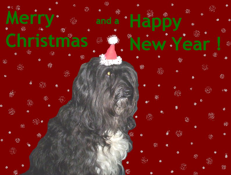 Merry Xmas and a Happy New Year
