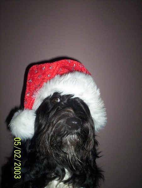 SantaClaus is een deugniet! :)