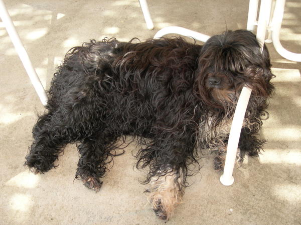 This is like soooo comfortable....NOT