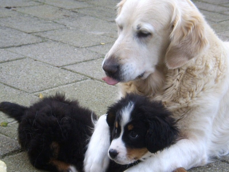 sascha met haar pleeg moeder van 11 jaar donja