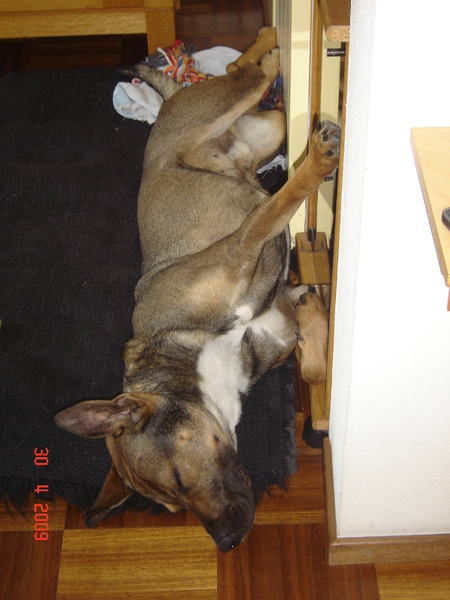 hoe kan je zo slapen