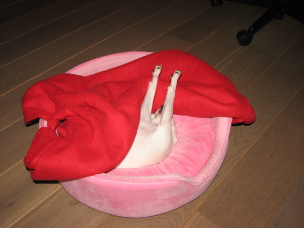 Lekker in mijn mandje!