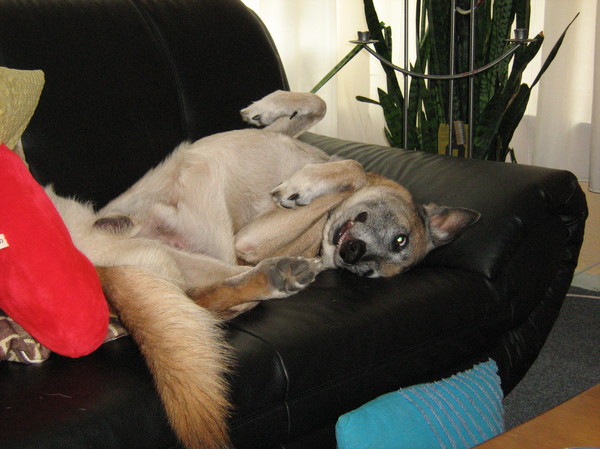 .........hmm wat is hij lui