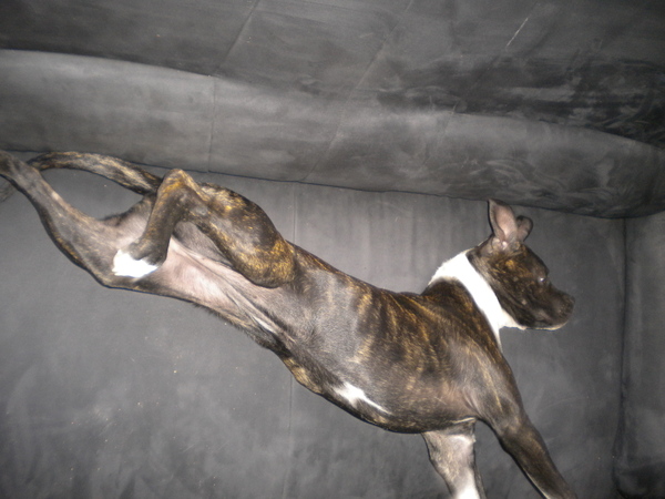 Ty.... doet 't even op de moeilijke manier!