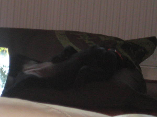 lekker lui en ontspannen slapen 