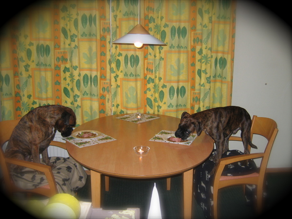 een echt kerstdiner!!!!