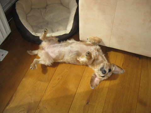 Zeer comfortabele houding, not! 