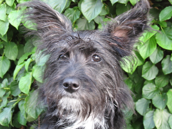 buiten op tafel, wie doet me wat?