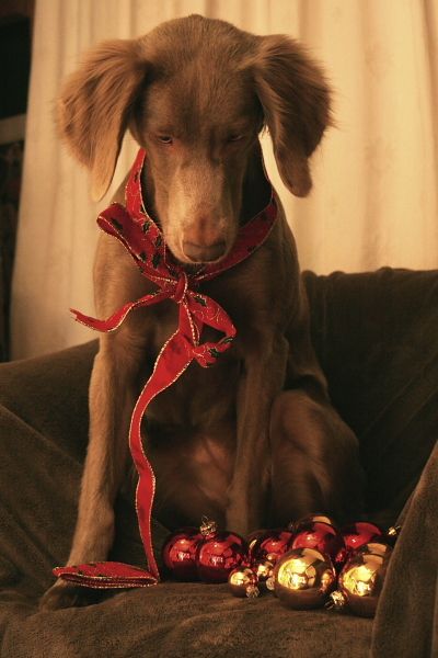 Wat zijn dat nu voor ballen