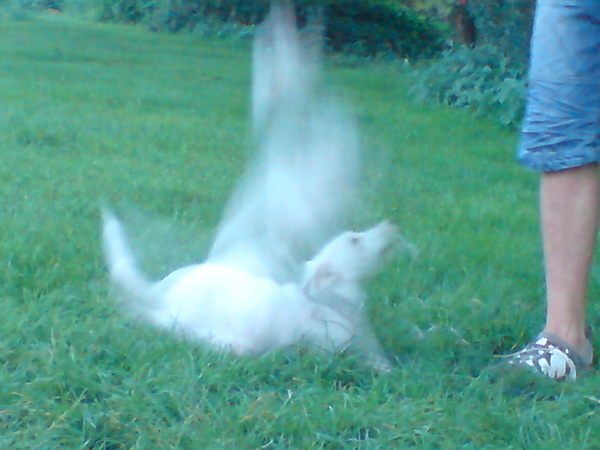 it's a gost.....ieieieieiei