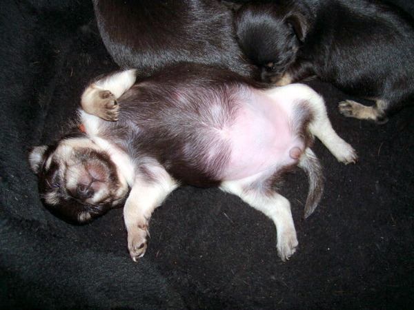 Ik ben Maya 3 weekjes