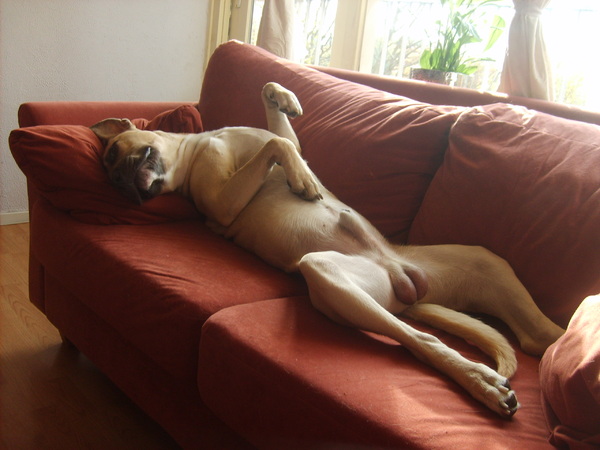 Tayco in de chill-mood