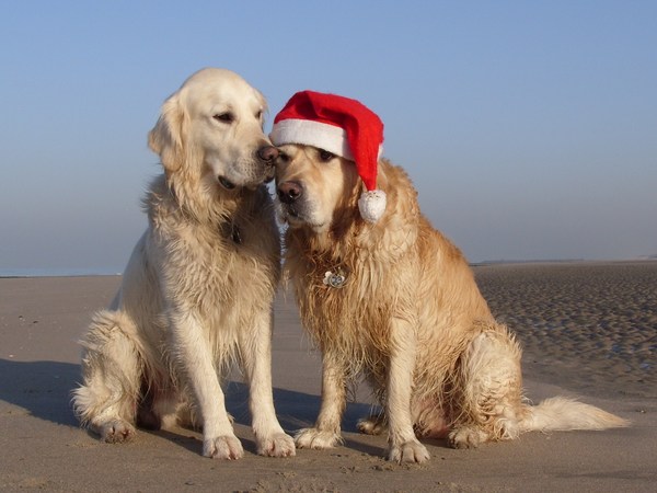 Boyd en Kaj bij de kerst-strandwandeling