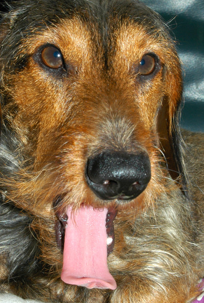 Teun