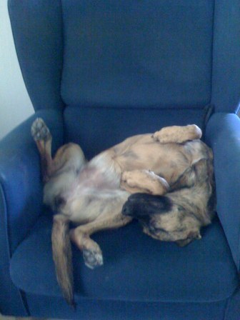 Favoriete lighouding