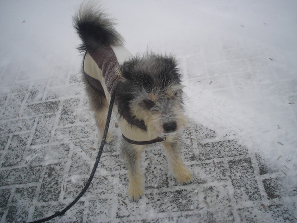 kruimeltje in de sneeuw!!