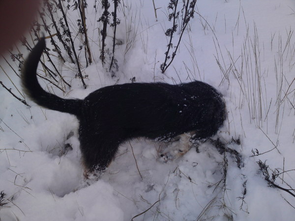 Graven, graven en nog eens graven....