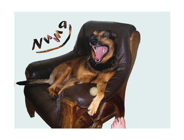 Gapen na het slapen in Numa´s eigen fauteuille