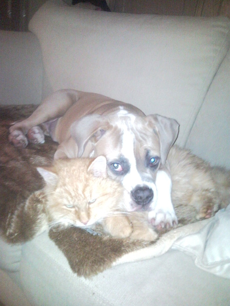 Tony met onze kat Tommy