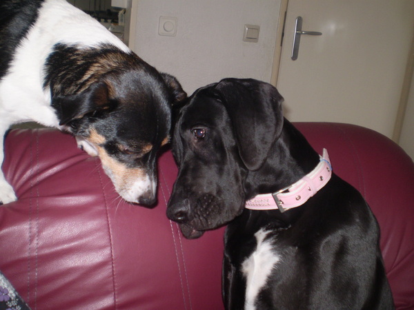 We hadden bezoek van niky