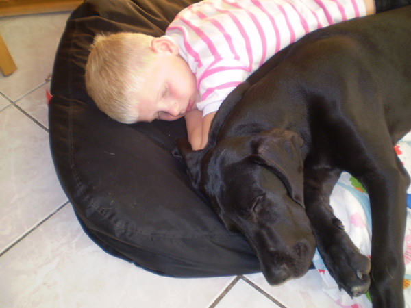 Dave en Donna erg moe!