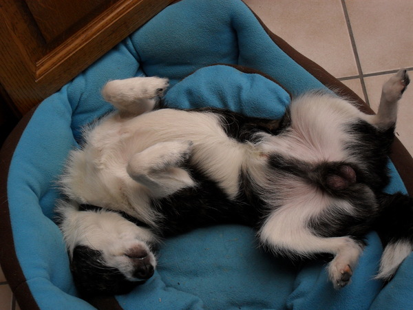 Een relaxerende slaaphouding