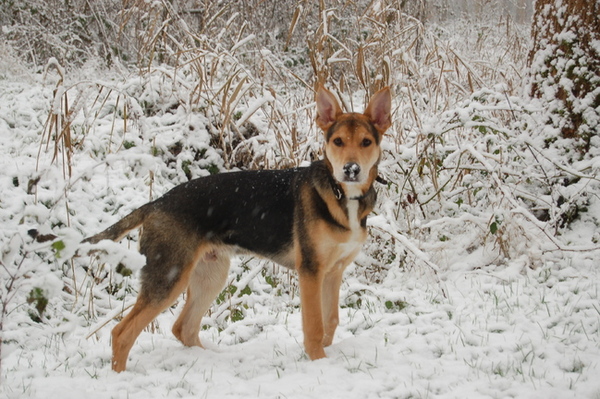 Bram is stoer en 5 maanden oud!
