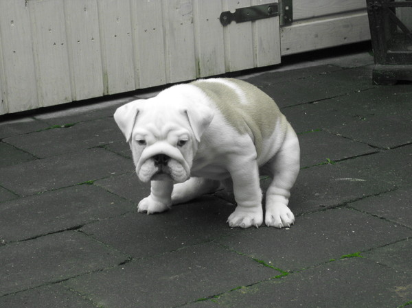 Zelfs onder het poepen moet ze nog een foto maken 