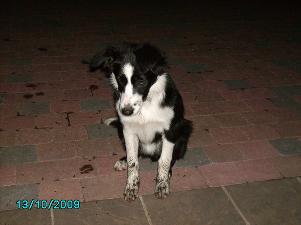 bloembak was toch al niet mooi meer !!!