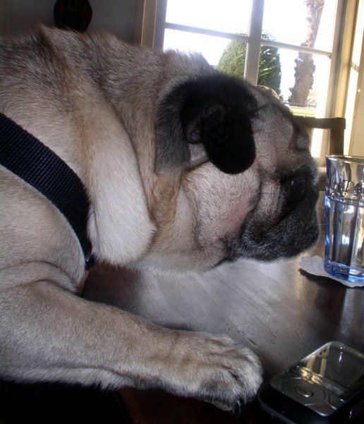 Alexander gaat wel heel ver.