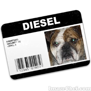securety bij diesel
