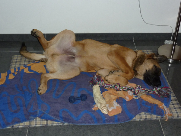 ik kom echt niet meer overeind