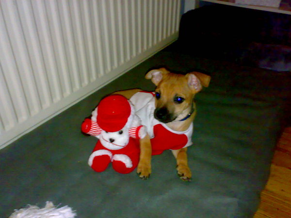 jack de ajax suporter van amsterdam