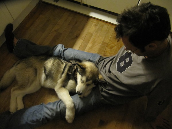 In slaap gevallen bij het baasje.