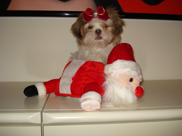 Montie en....Ho Ho Ho !!!