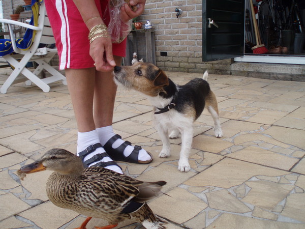 Rakker eet samen met onze Katrien een stukje brood 
