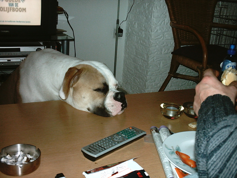 schooien maar eigenlijk te moe