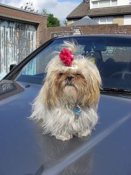 Ik poseer heel vaak,kijk maar.