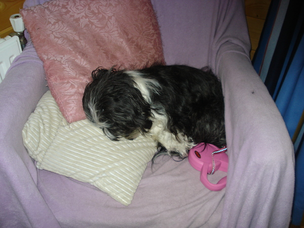 In slaap vallen na het wandelen !!