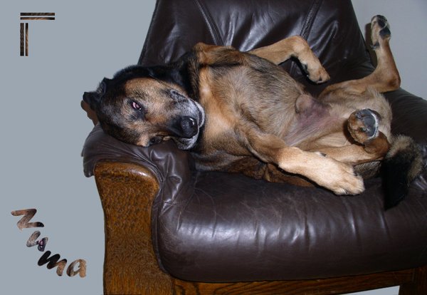 Met recht een rare houding.