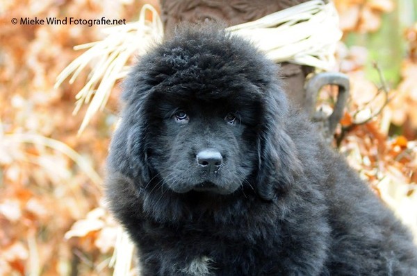 Onze Duffy is ze niet Duf